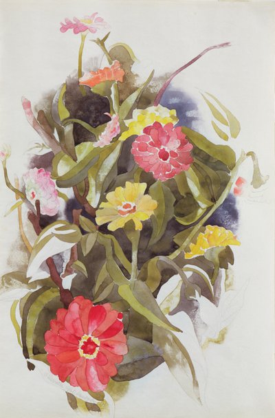 Zinnias, 1920 - Charles Demuth